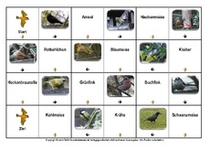 Domino-Vögel-2.pdf